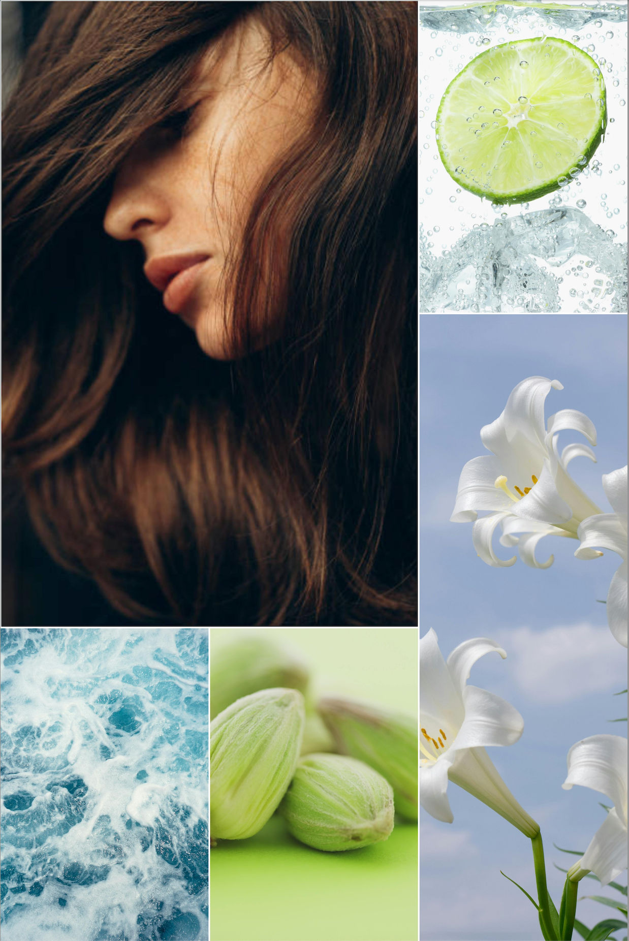 Invigorating citrus aromatic