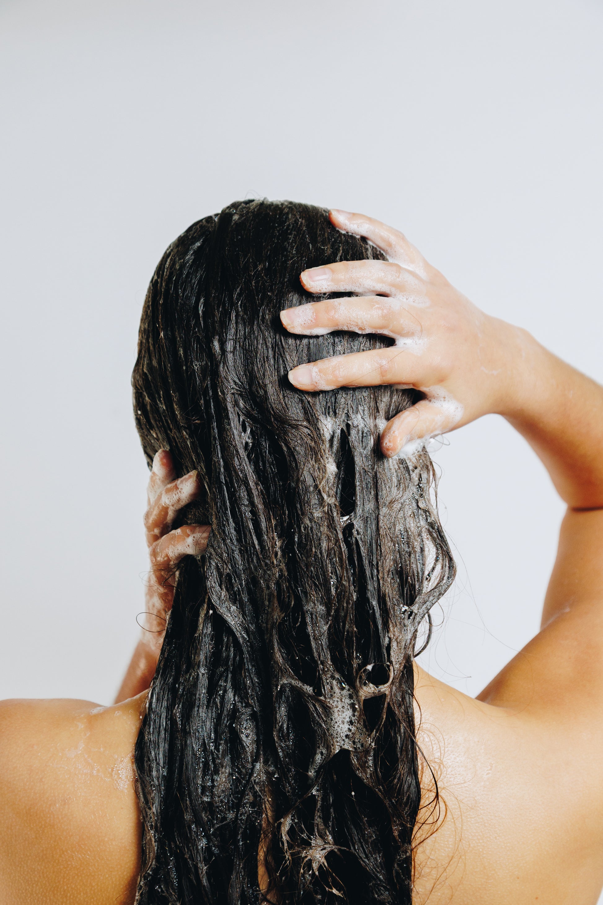FRIZZ CONTROL SHAMPOO