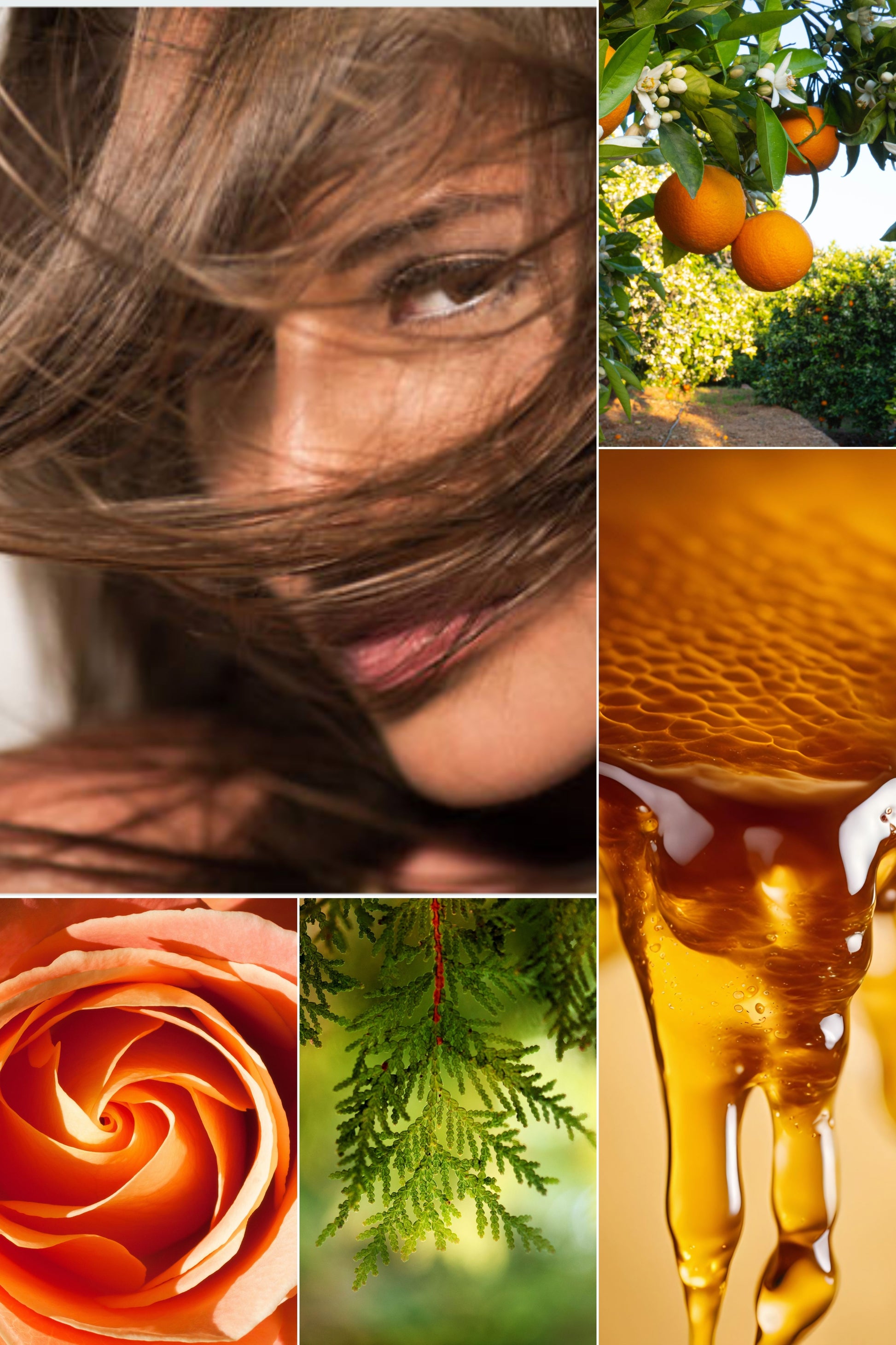 VOLUMISING CONDITIONER